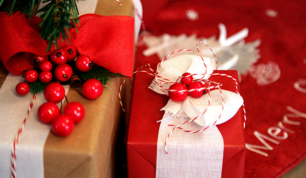 Very Berry Christmas Make and Create - christmas gifts with red berry