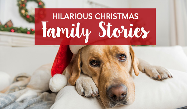 Cute dog laying down wearing a christmas santa claus hat - Hilarious Christmas Family Stories