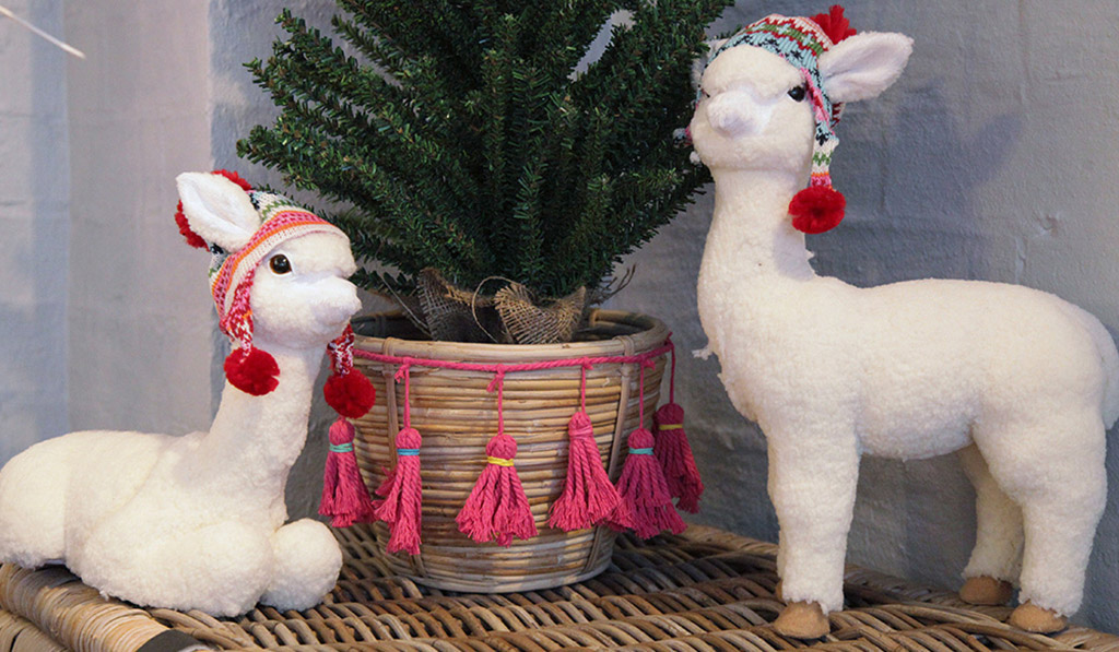 two llamas one sitting and one standing with a plant in the middle