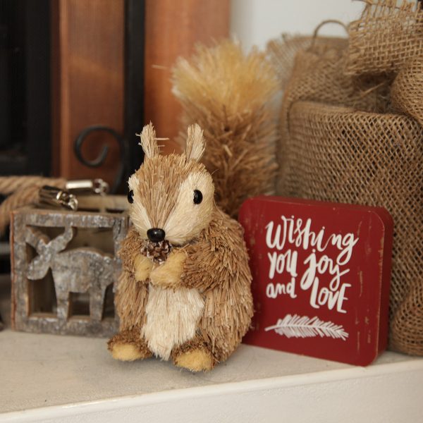 Burlap Squirrel with a Wishing you joy and love plaque beside