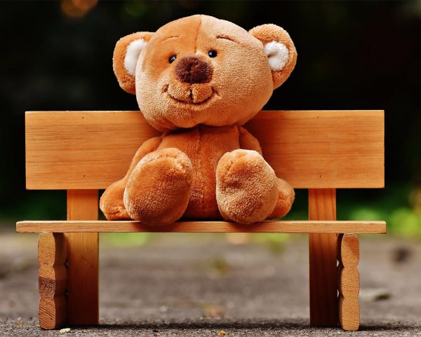 Cute Brown Teddy Bear Sitting in a Bench