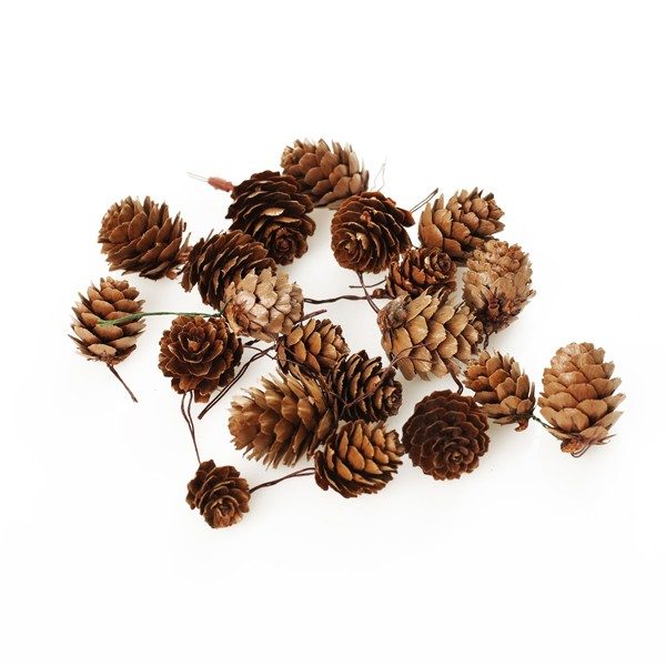 Mini Pinecone with Wire Set of 20
