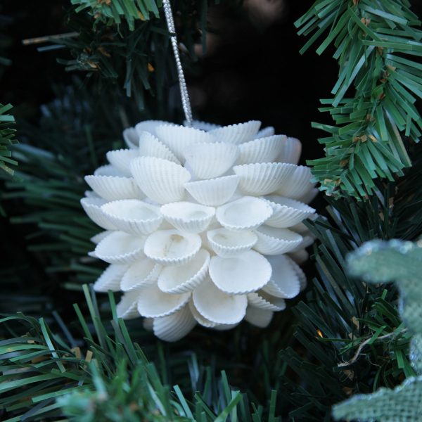 Chrismtas by the Sea Clam Shell ball Hanging in a Christmas Tree