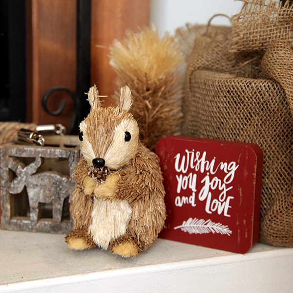 Wishing You Joy and Love Wooden Sign with a Squirrel Ornament