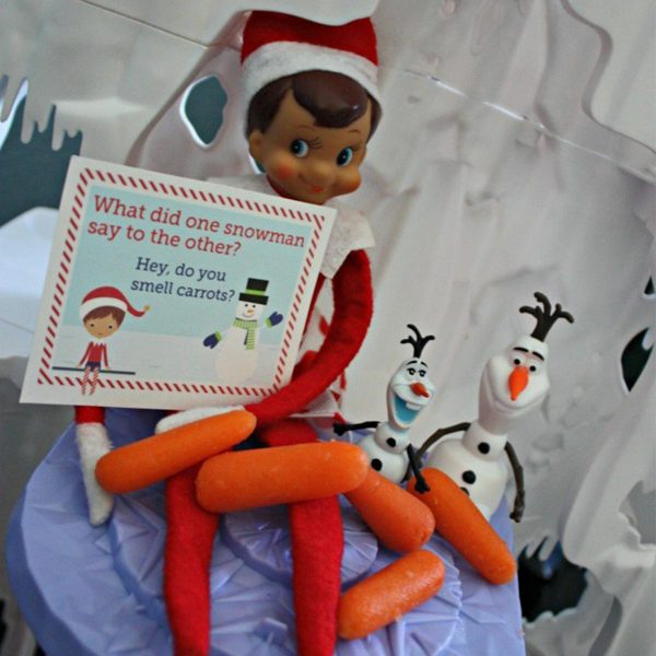 Elf Toy Holding a Sign Saying What did one snowman say to the other, Hey do you smell Carrots