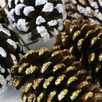 Make and Create Woodlands Craft Pinecones