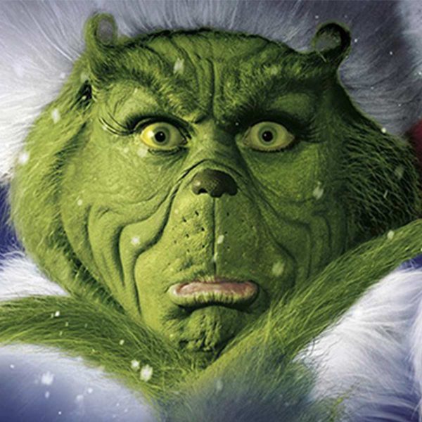 The grinch who stole christmas with the dull face