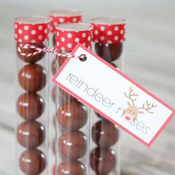 Test Tube Treats with Tag Saying Reindeer Noses