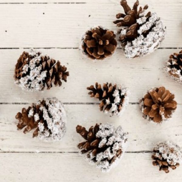 Stunning Christmas Pinecones with Artificial Snow placed in a Wooden Surface