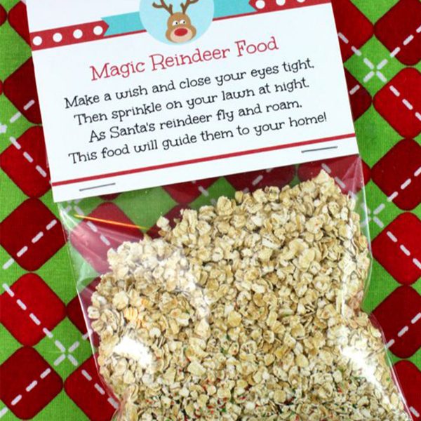 Christmas Eve Box Ideas for the Whole Family - Magic Reindeer Food plastic bag placed on a red and green background