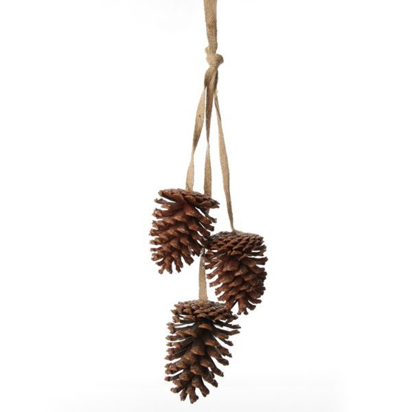 Pine Cone Trio Natural with a white Background