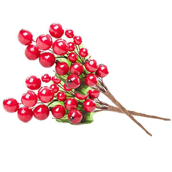 Red Berry Pick with White Background