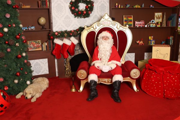 Santa sitting in a red chair beside a big Christmas Tree