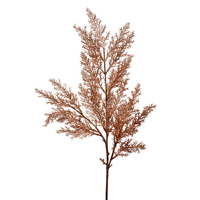 Cypress Fern Spray Almond 64cm