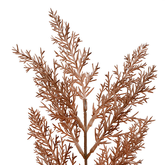 Cypress Fern Spray Almond 64cm