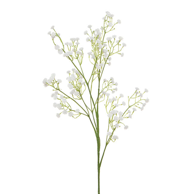 Gypsophilia Baby&