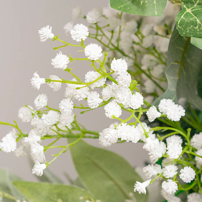 Gypsophilia Baby&