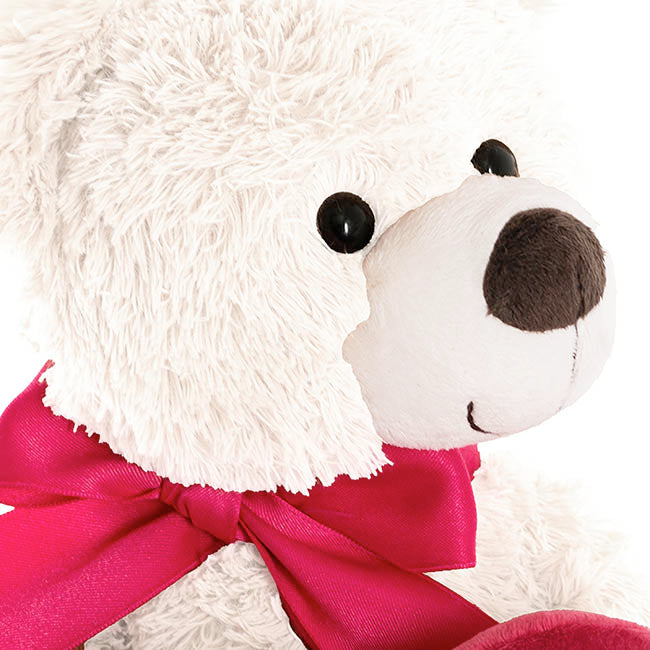 Teddy with Heart