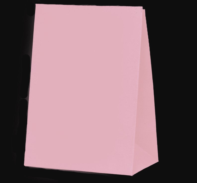 Paper Party Bag Pastel Pink 10pk