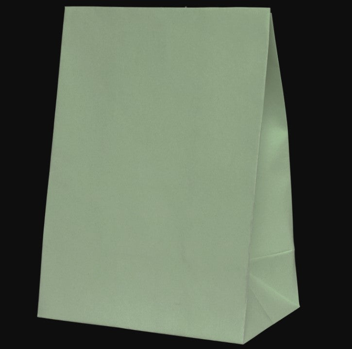 Favour Paper Party Bag Eucalyptus 10pk