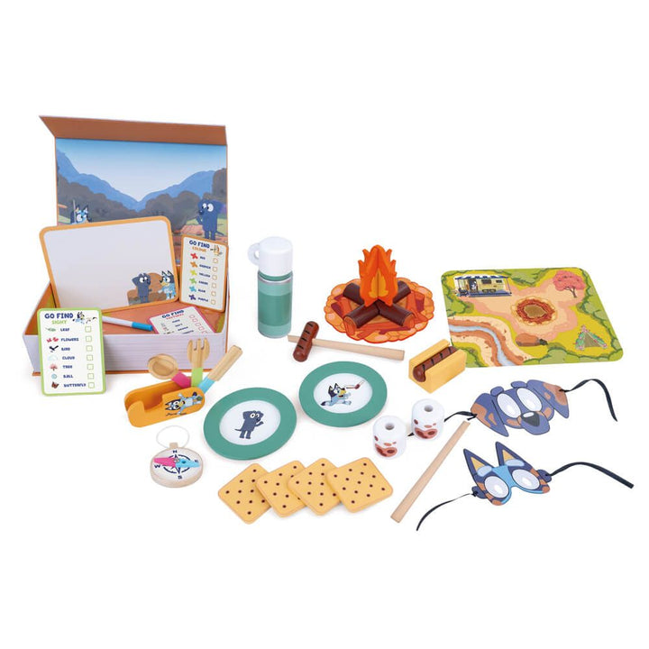 Role Play Book Bluey Camping