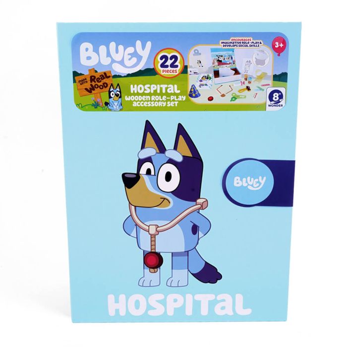 Role Play Book Bluey Hospital