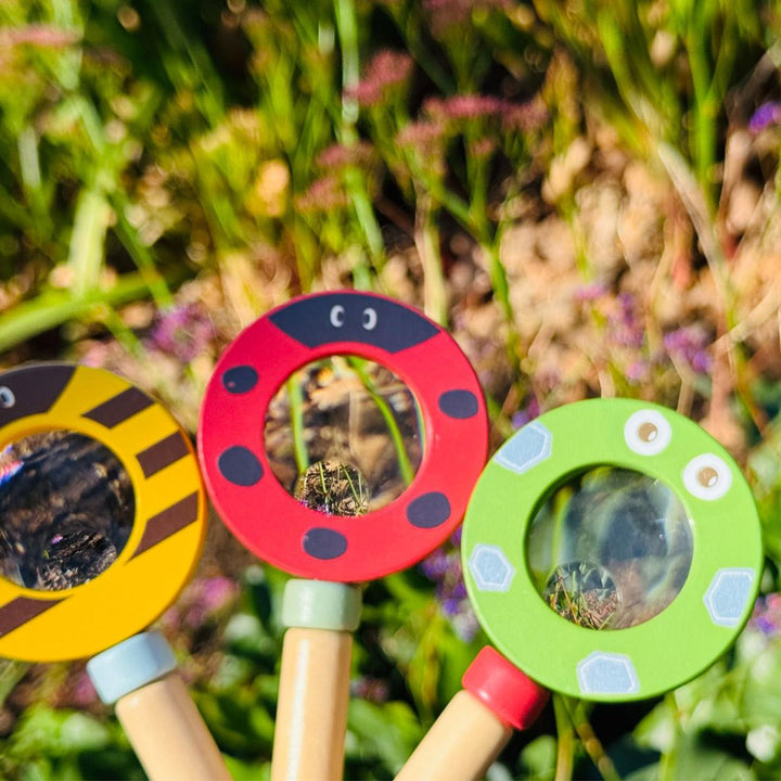 Assorted Wooden Magnifying Glass