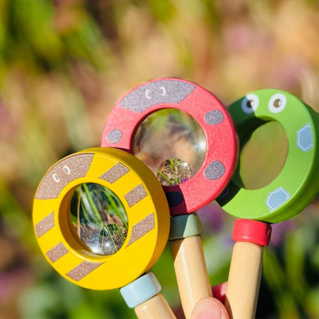 Assorted Wooden Magnifying Glass