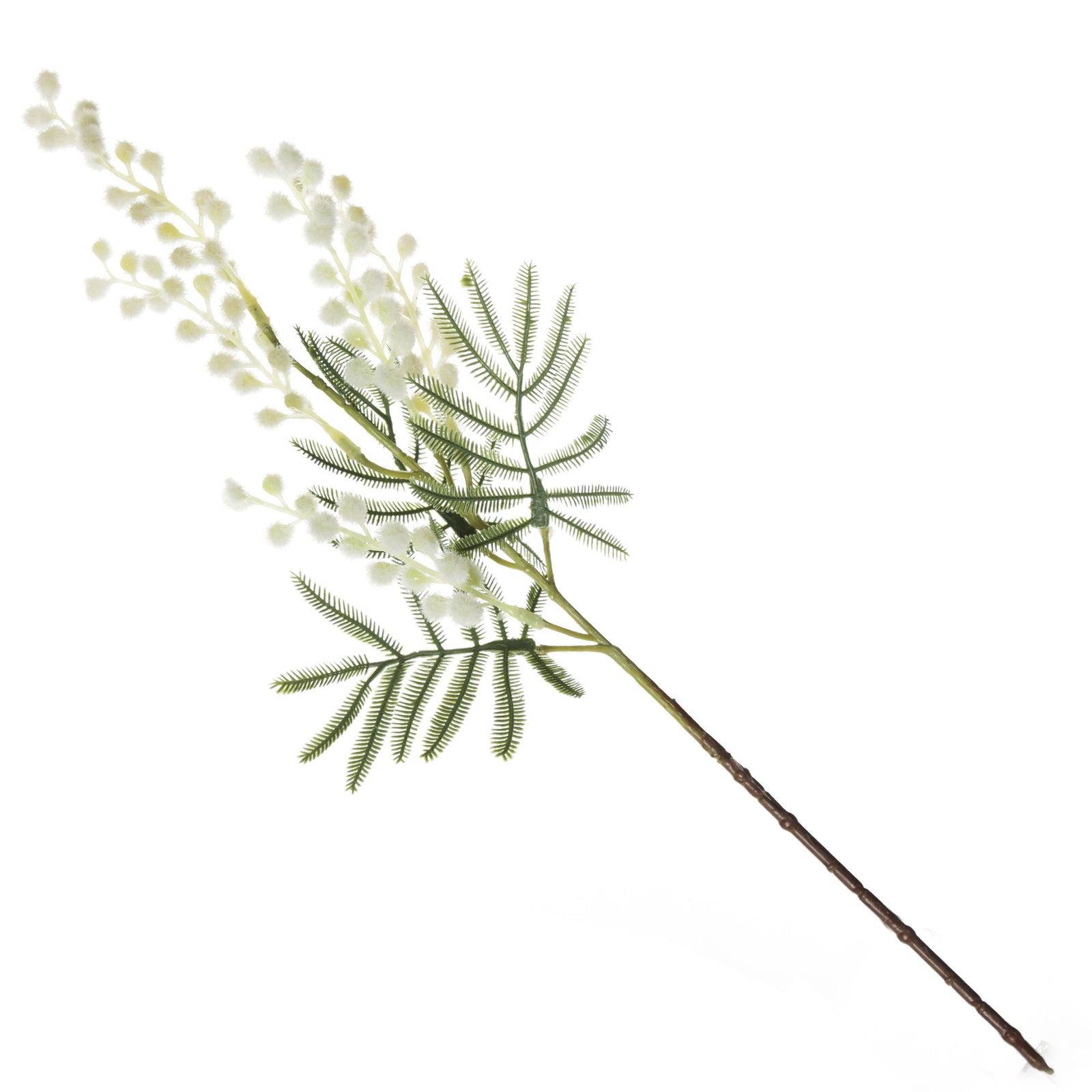 Australian Yellow Wattle Bouquet 
