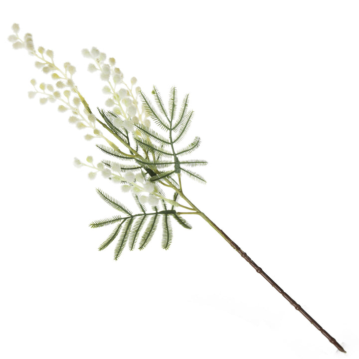 Australian Yellow Wattle Bouquet 