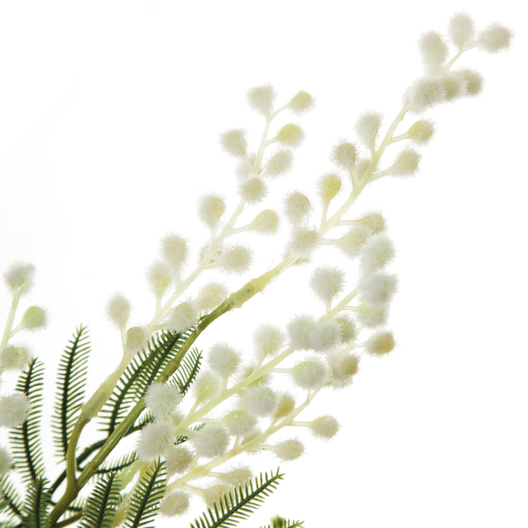 Australian Yellow Wattle Bouquet 