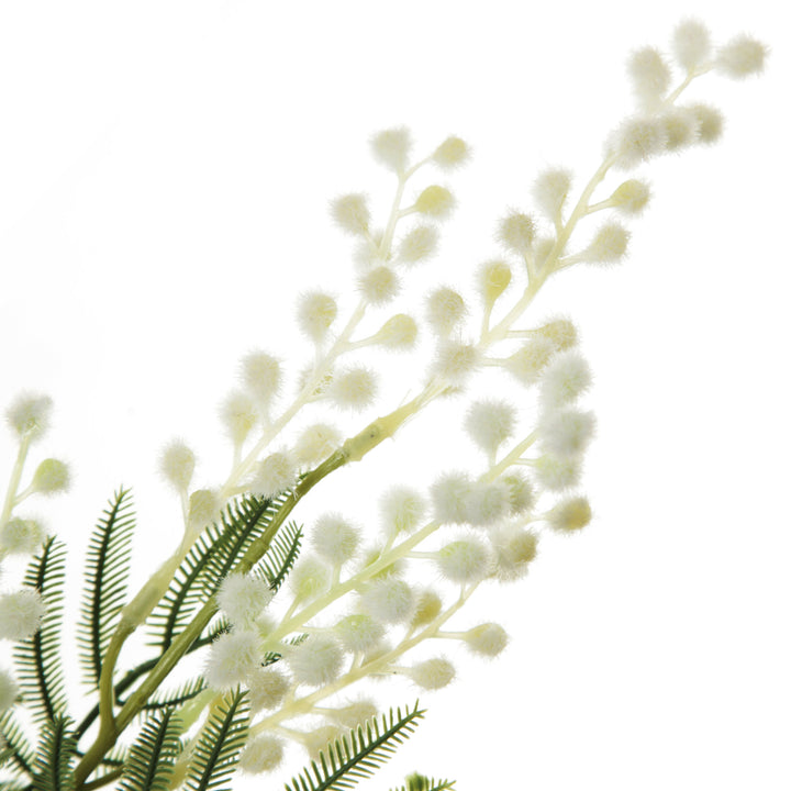 Australian Yellow Wattle Bouquet 