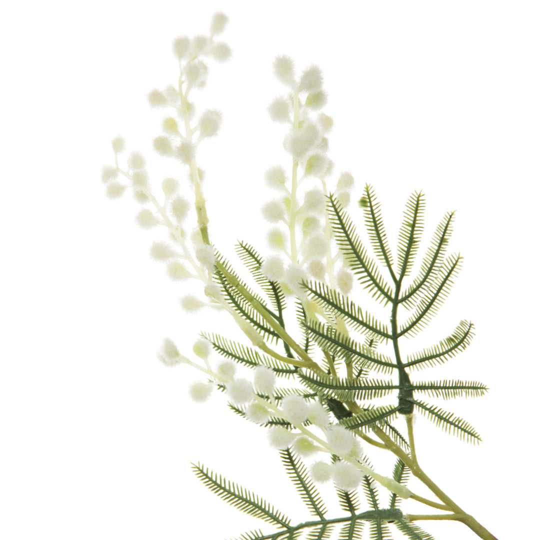 Australian Yellow Wattle Bouquet 