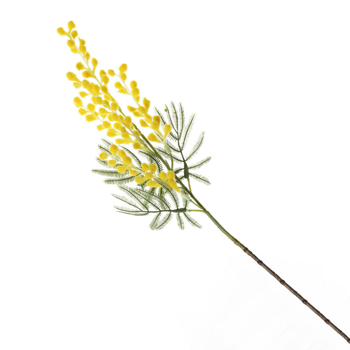 Australian Yellow Wattle Bouquet 