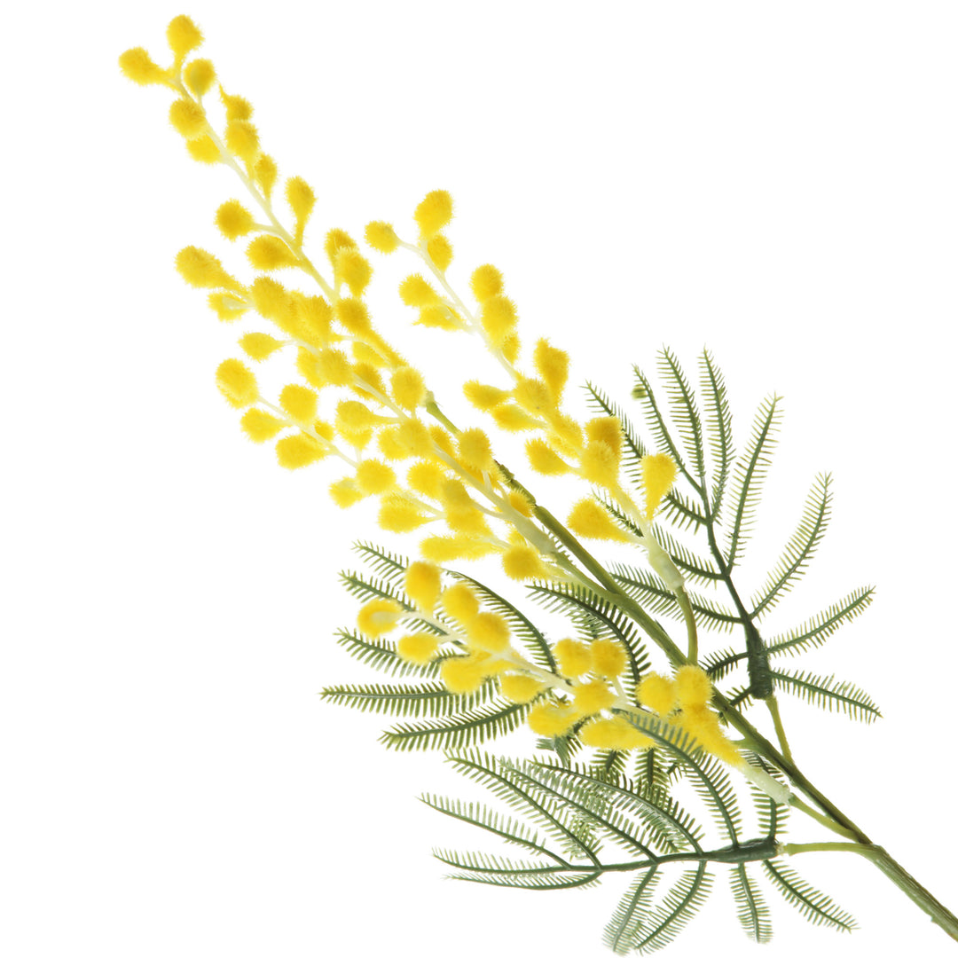 Australian Yellow Wattle Bouquet 