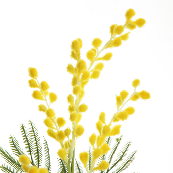 Australian Yellow Wattle Bouquet 