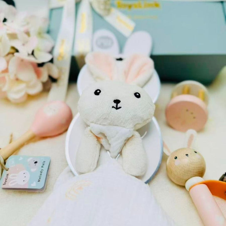 Baby Hamper Gift Set - Bunny