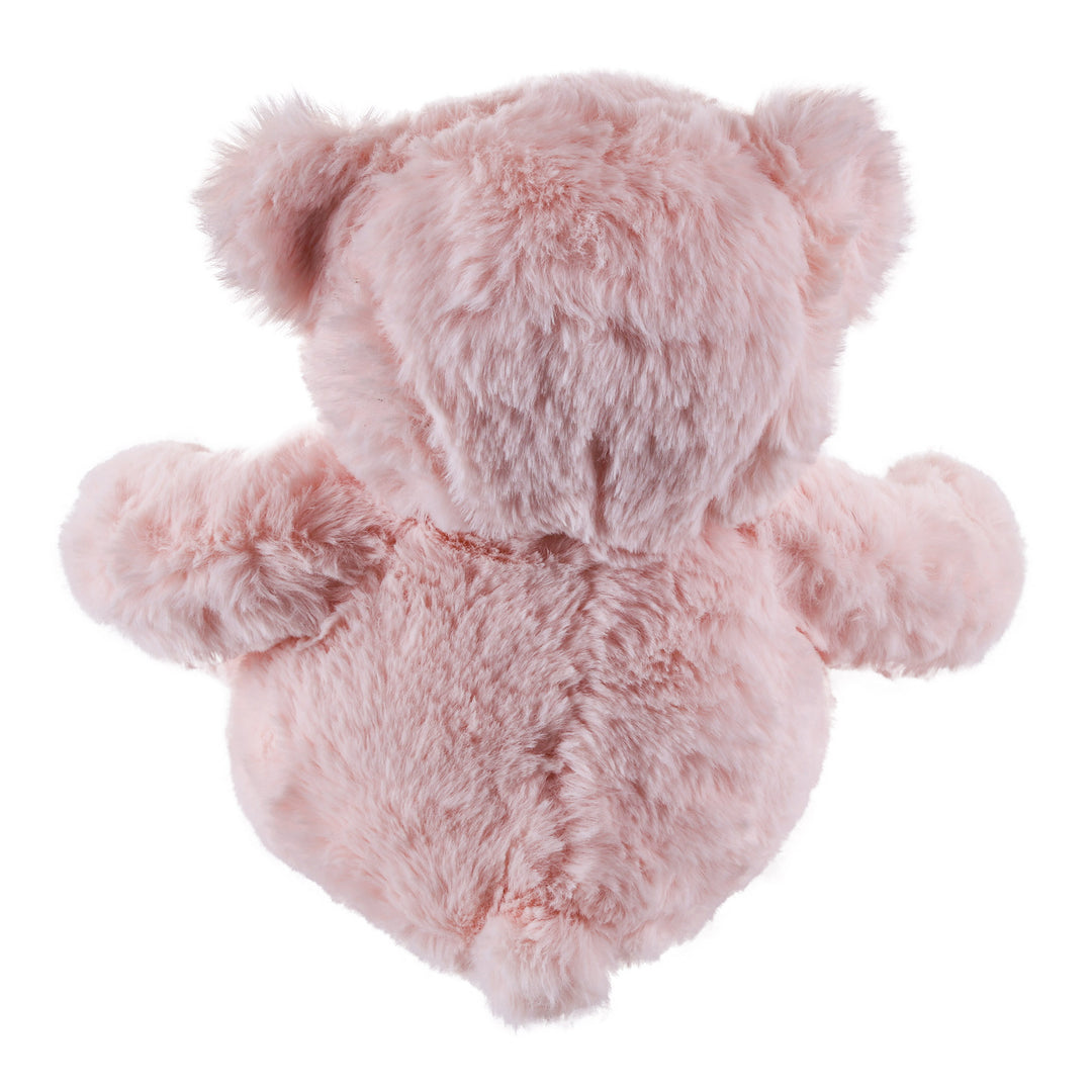 Baby Pink Plush Teddy Bear