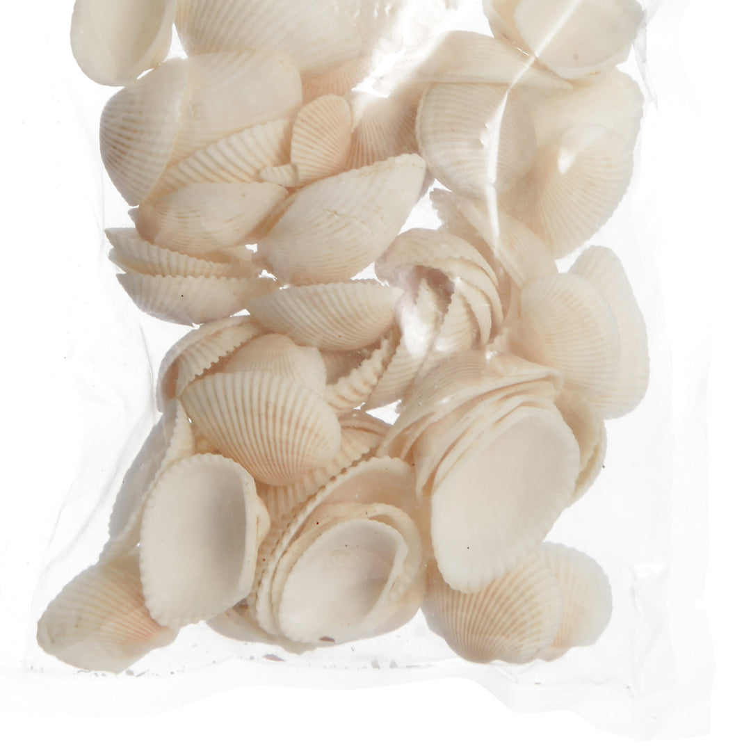 Bag of Small Clam Shells