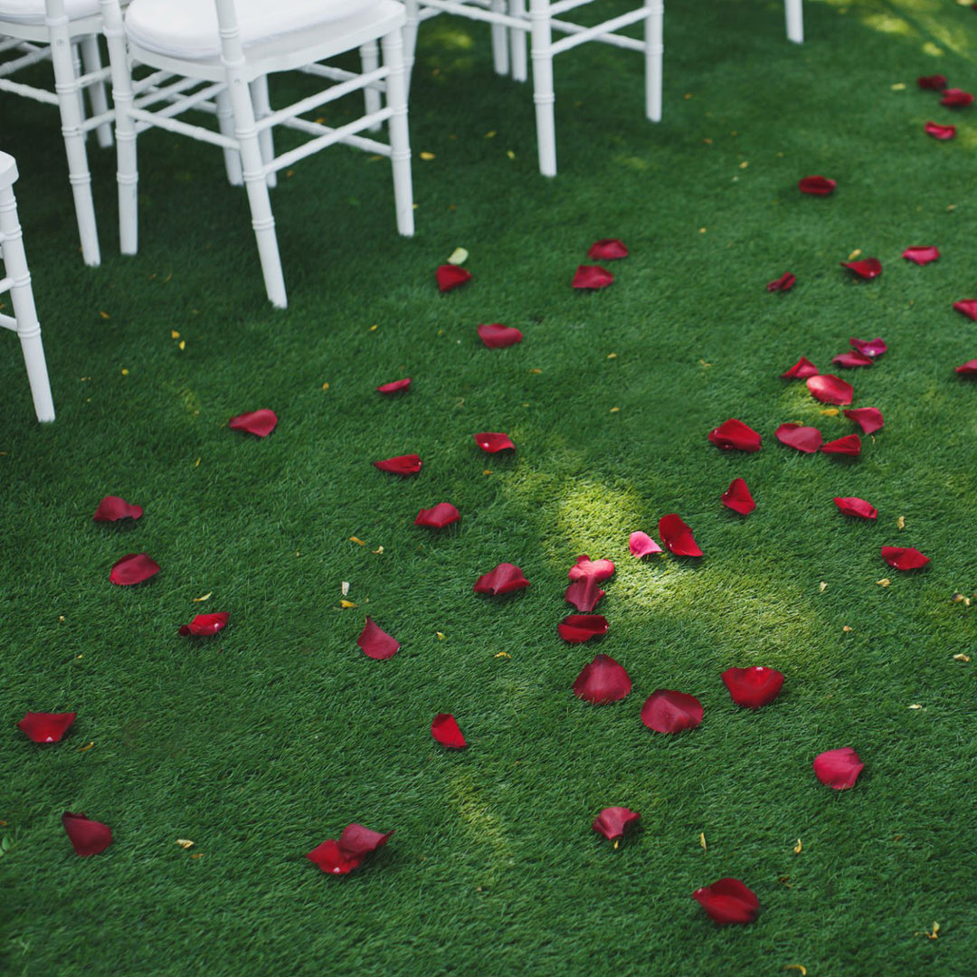 Petals