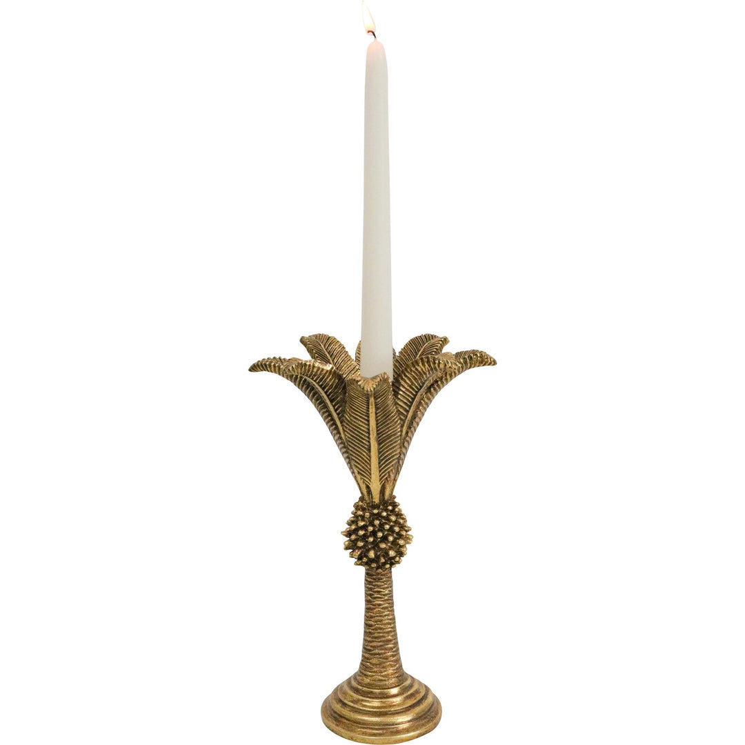 Queen Palm Candle Holder Lrg 24cm(H)