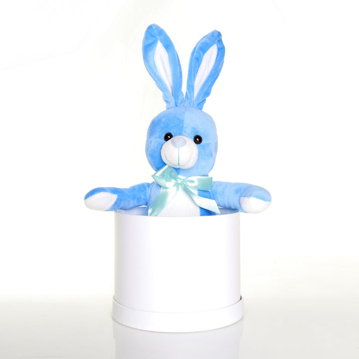 Blue Baxter Plush Bunny Medium Easter Hamper