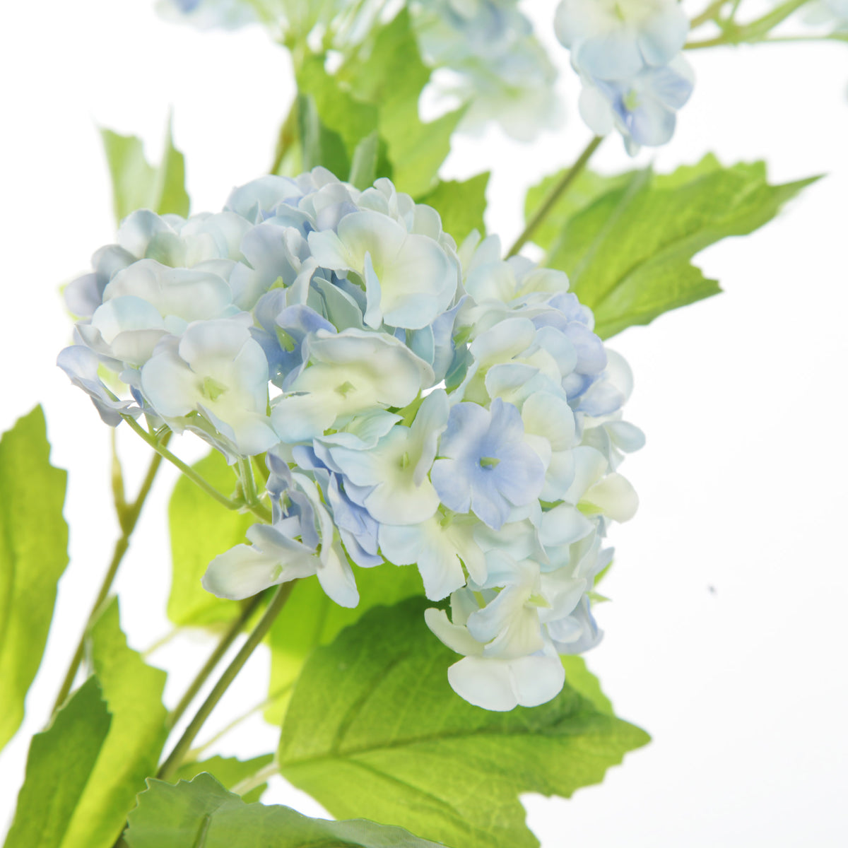 Blue Snow Ball Hydrangea Spray 