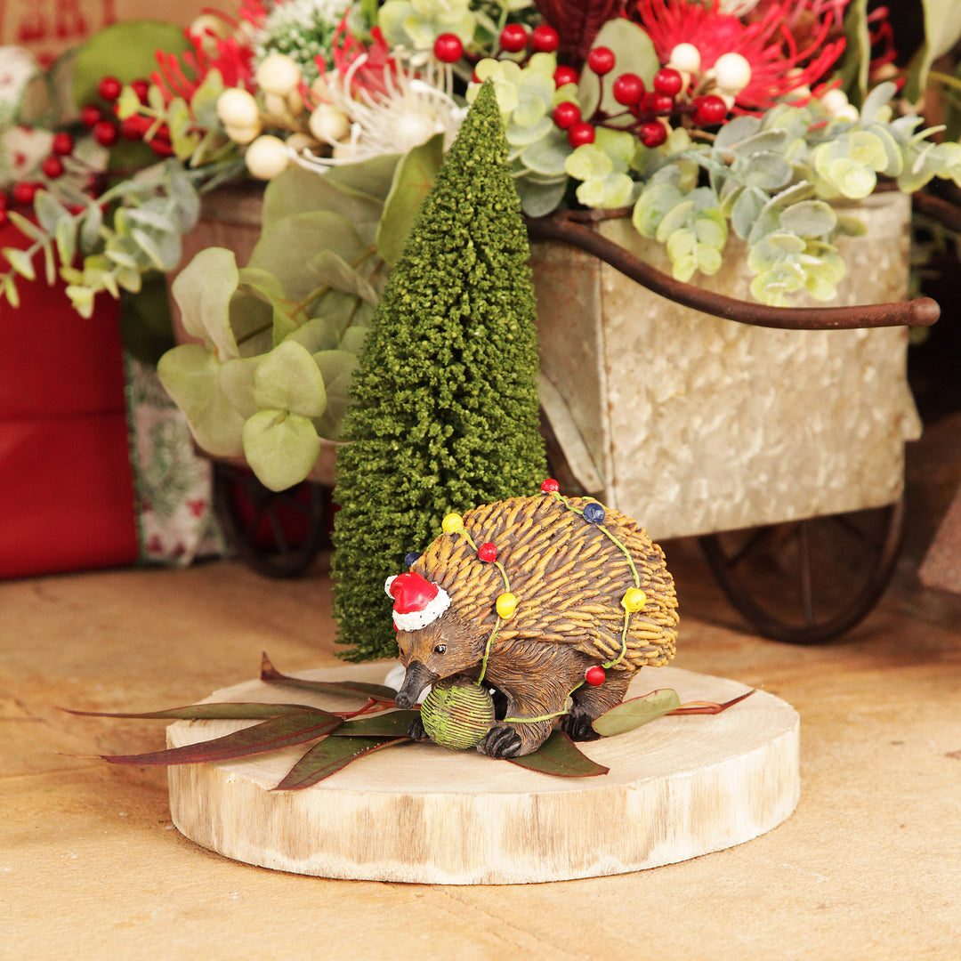 Echidna Australiana Christmas Ornament - 16cm(H)