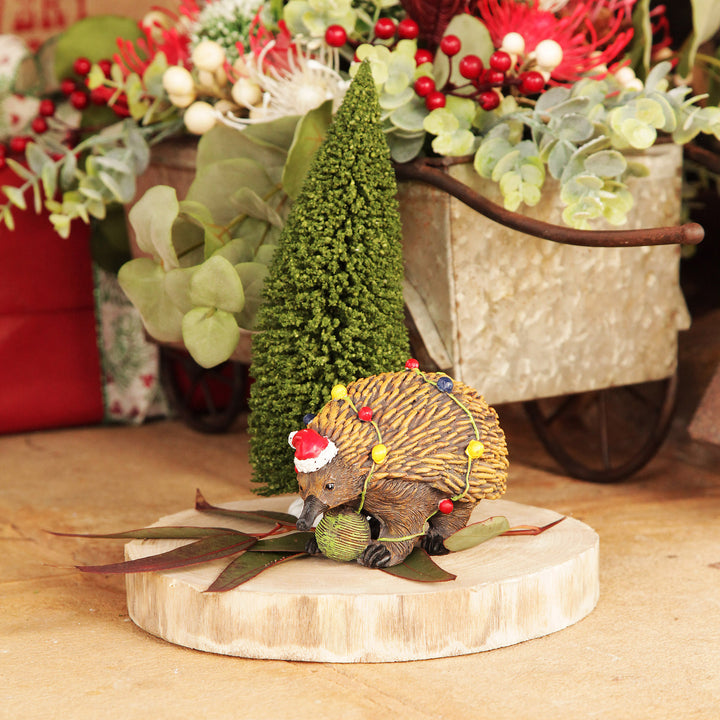 Echidna Australiana Christmas Ornament - 16cm(H)