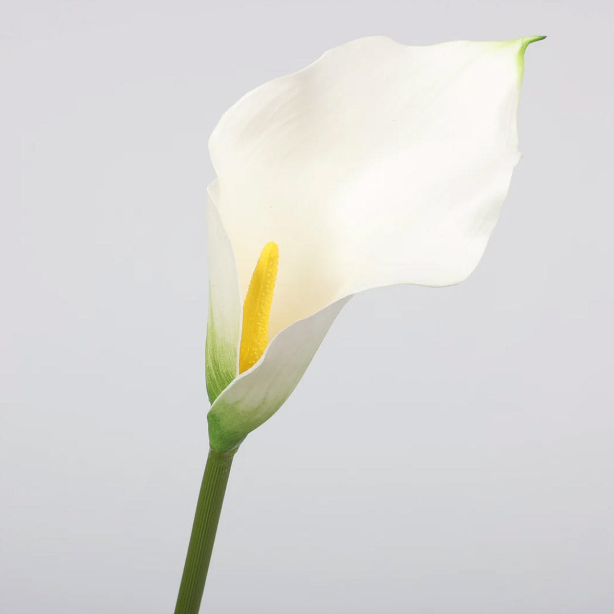 calla-lily-stem-white-58cmh