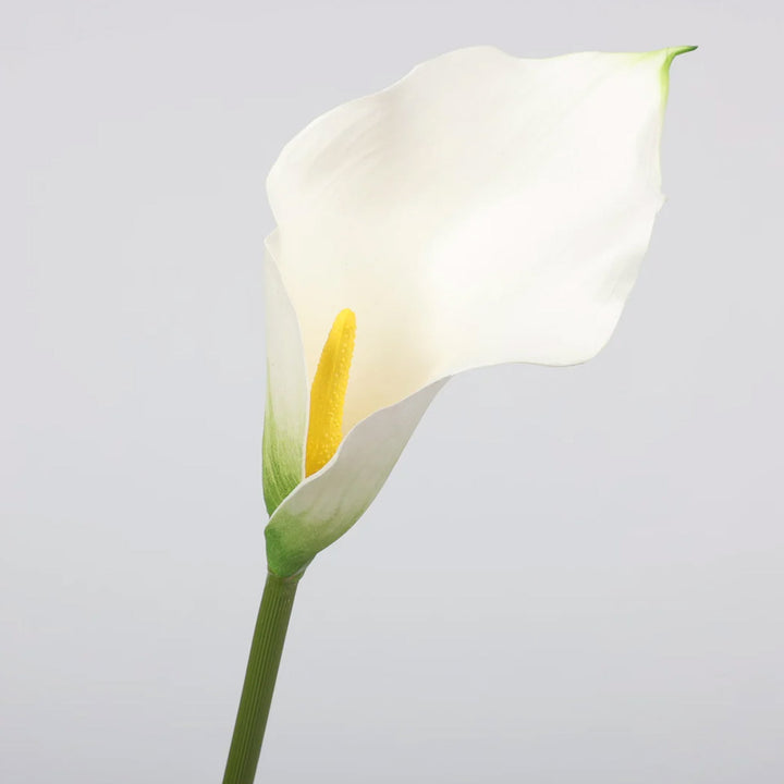 calla-lily-stem-white-58cmh
