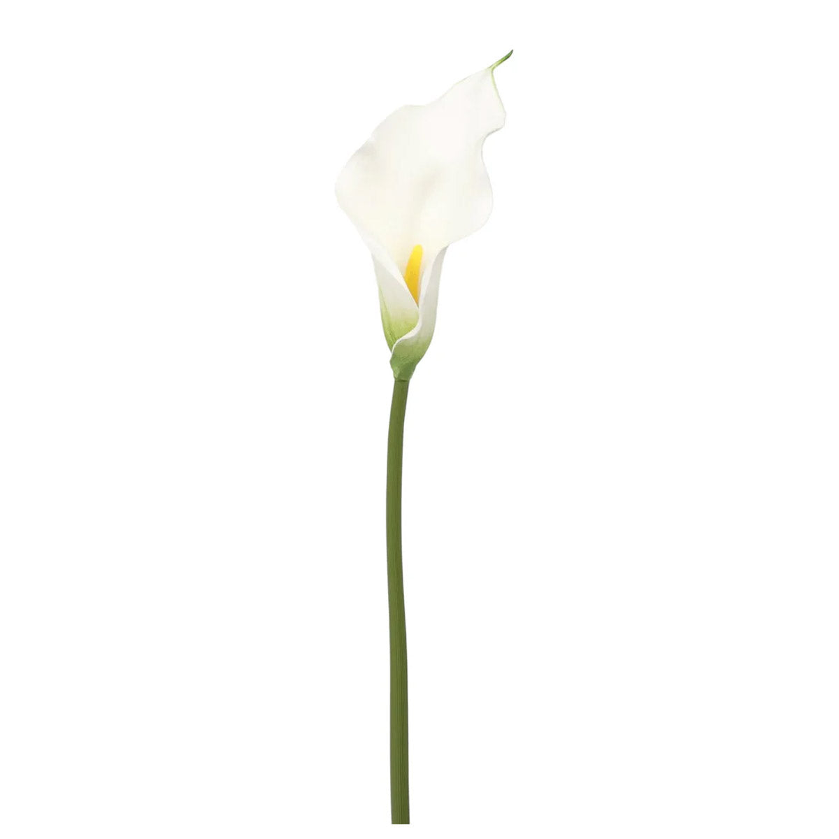 calla-lily-stem-white-58cmh
