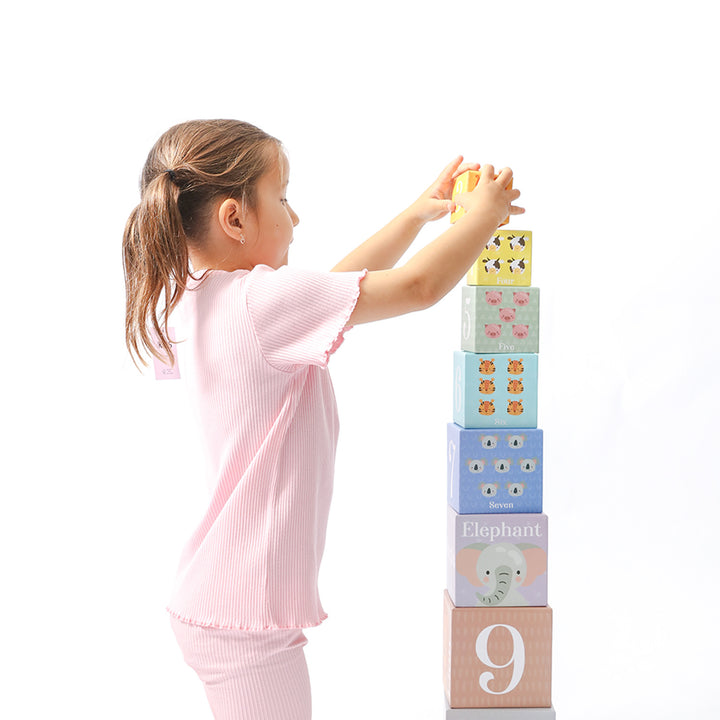  Cardboard Stacking Blocks