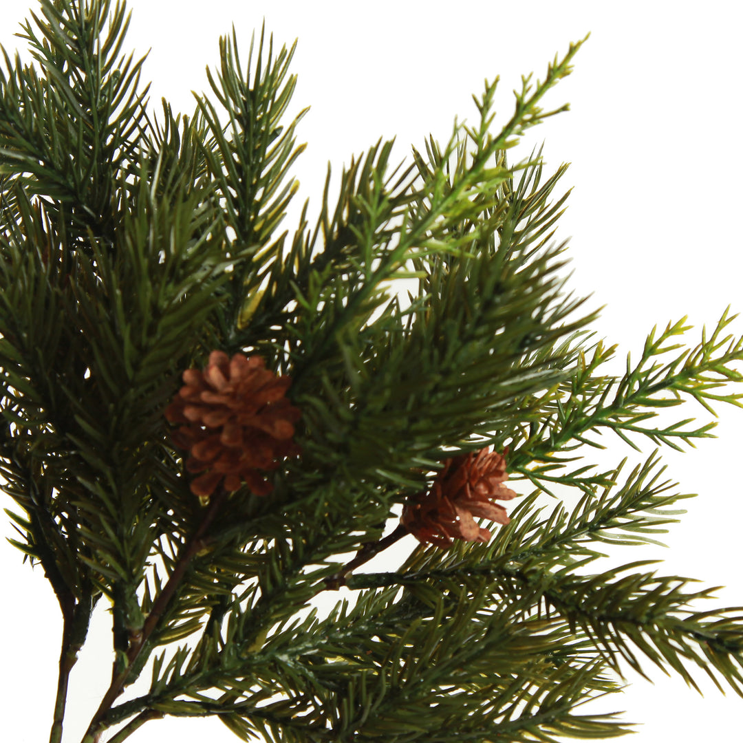 Cedar Mixed Pine Bunch